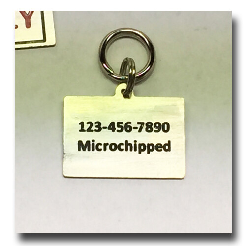 “Hello My Name Is” Pet ID Dog Name Tag Free Engraving Brass Copper Nickel Silver