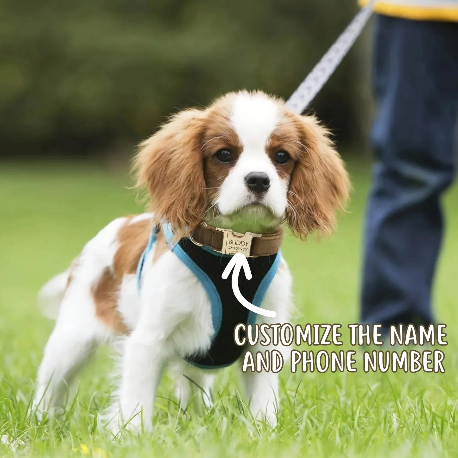Personalized Velvet Dog Collar with Custom Engraved ID Tag – Adjustable Large