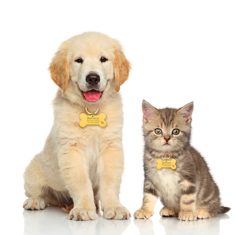 engraved Pet ID Name for Collar Tag Pendant Key Pet Accessories