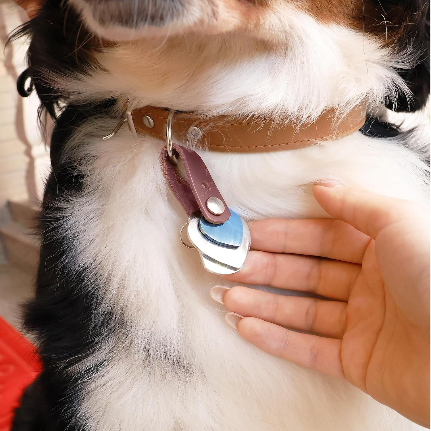 Pet ID Tag Silencer Dog & Cat Collar Leather Connector | Holder Up to 4 Dog …