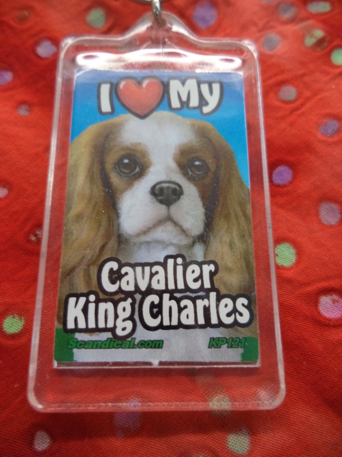 SCANDIAL PET KEY CHAINS – DOUBLE SIDED – I LOVE MY __DOG__ YOU PICK BREED! #3