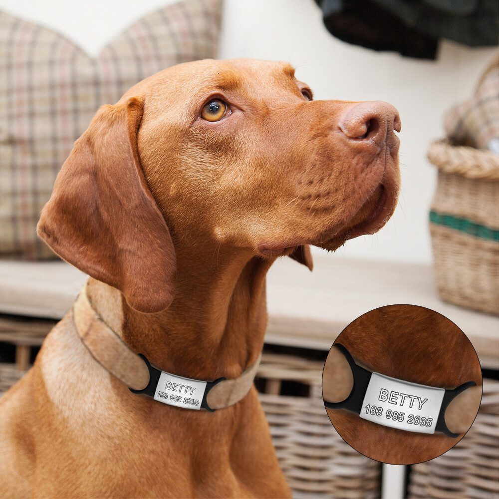 Personalized Slide-On No Noise Dog ID Tags Stainless Steel Cat Collar Tag Disc