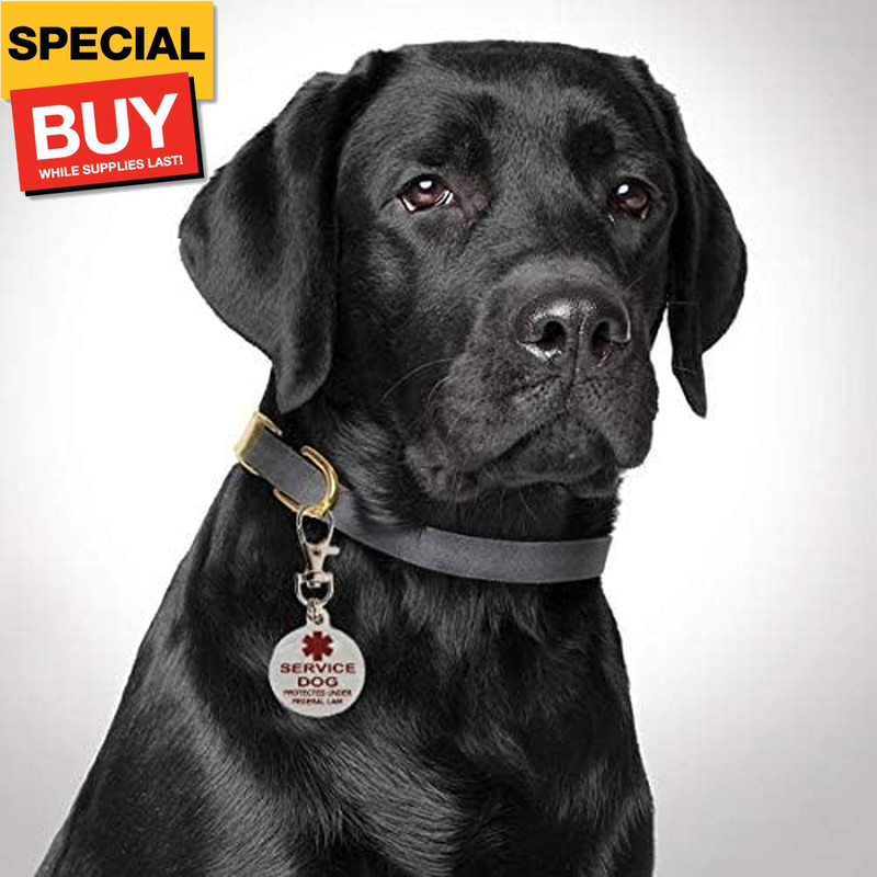 Service Dog Tag | Double Sided Federal Protection with Medical Alert Symbol |Inc