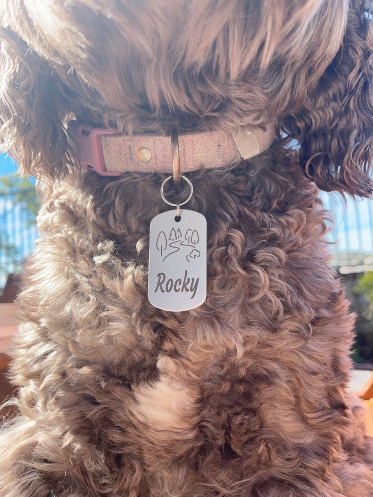 Pawtographize Dog Cat ID Tags Personalized Pet Name Tags Engraved Customized