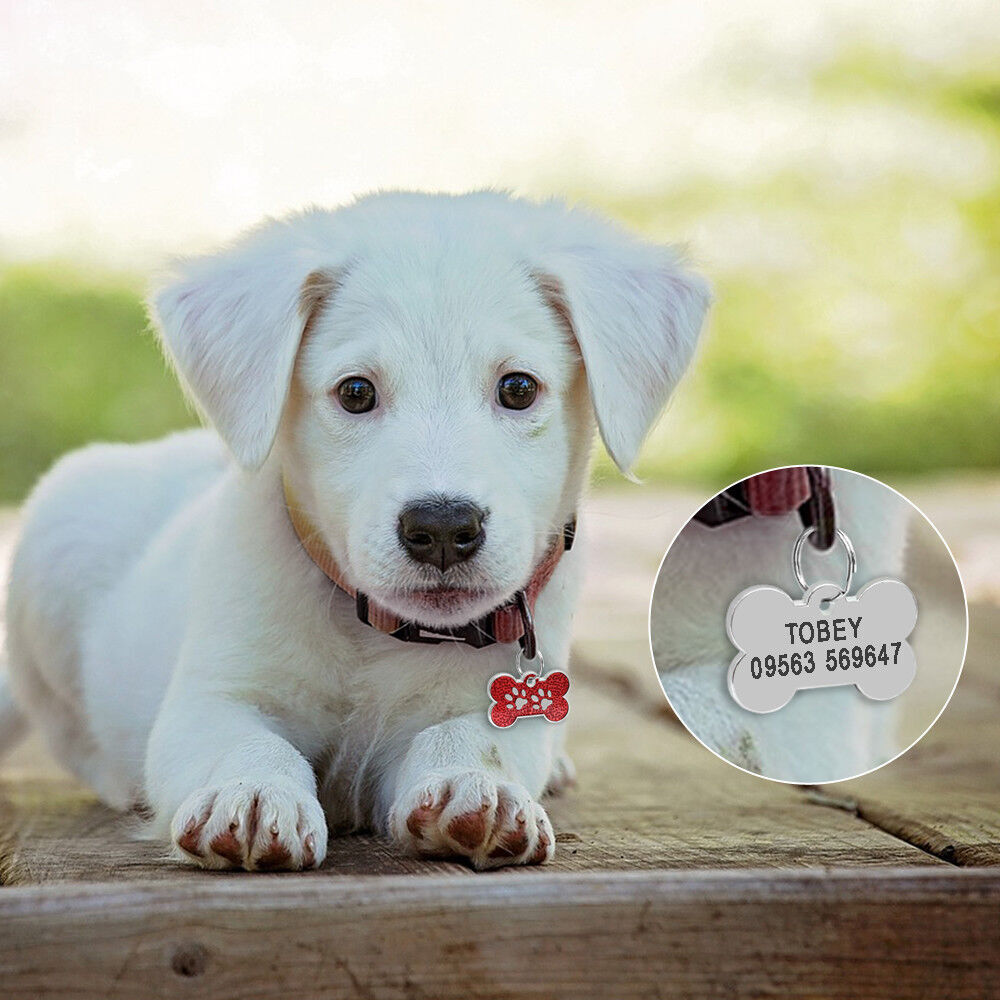 Bone-Shaped Personalized Pet Name Tags – custom dog id tags, collar dog name tag