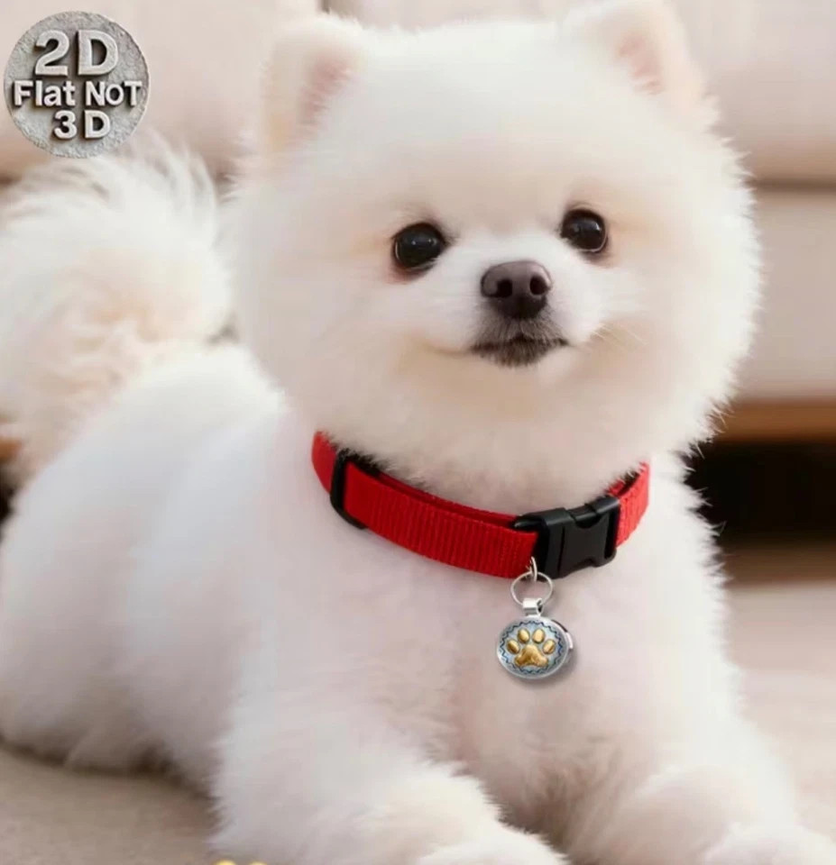 Pet Tag With QR Code- Gold Paw on Pearl Shell, Scan to Contact Owner!
