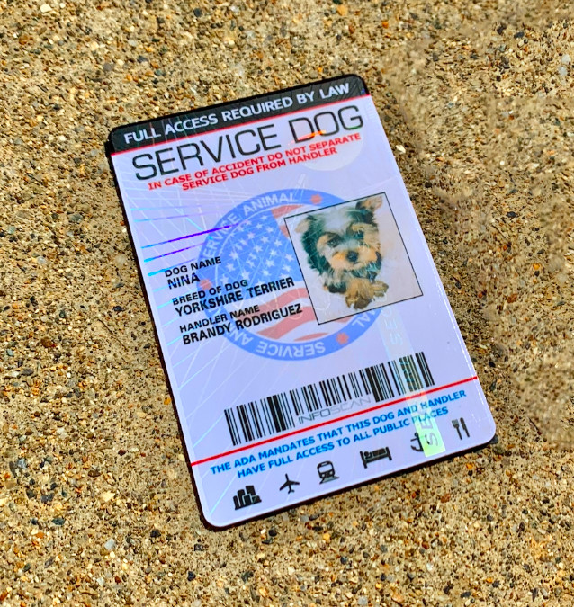 Service Dog ID Card Customized Holographic