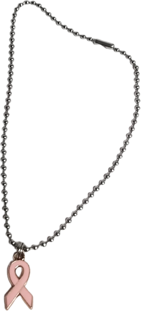 Breast Cancer Support Ribbon Ball Chain Dog Necklace