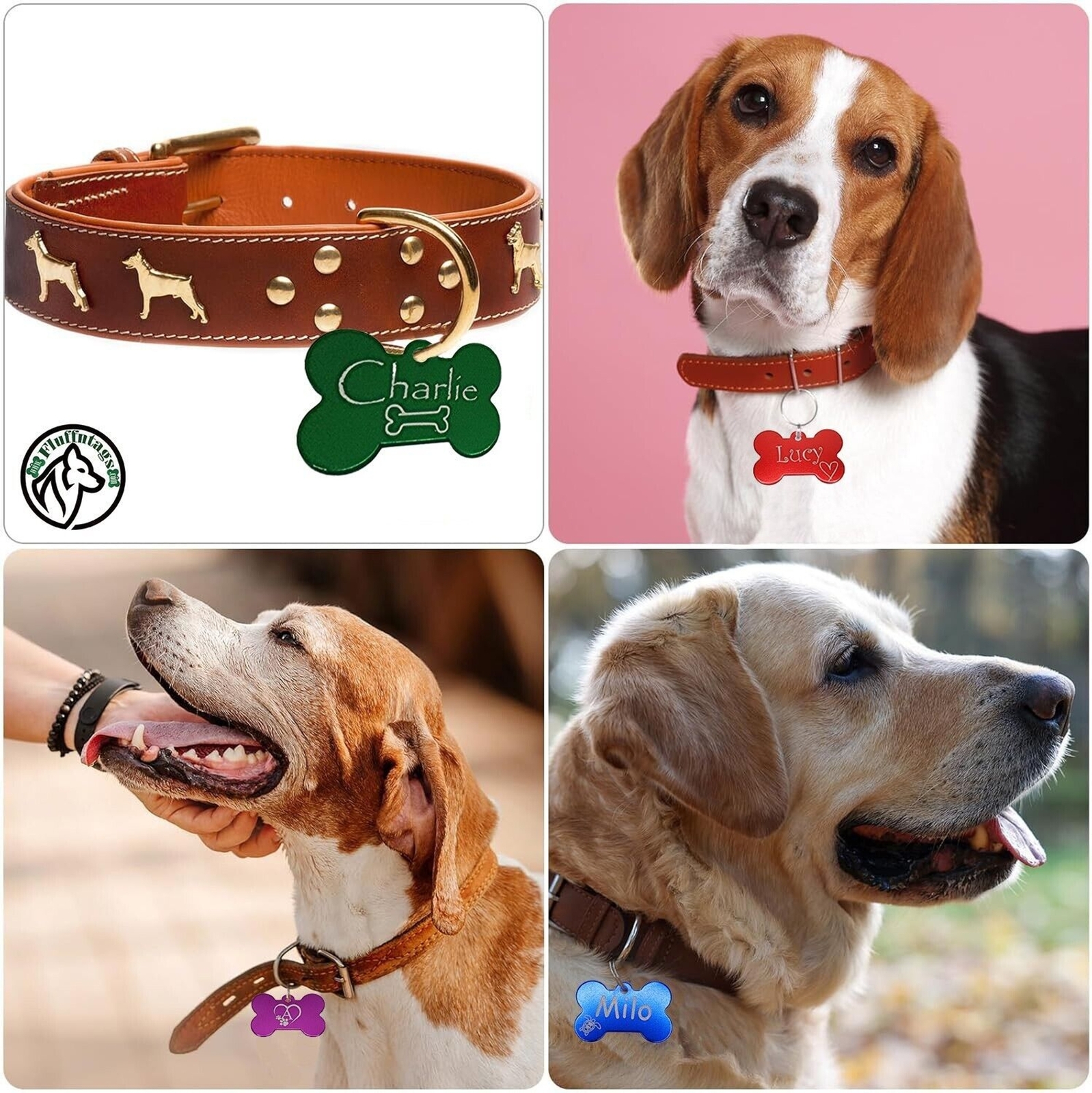 Deep Engraved Bone Pet ID Tag – Medium, Custom, 2-Sided, Light Aluminum