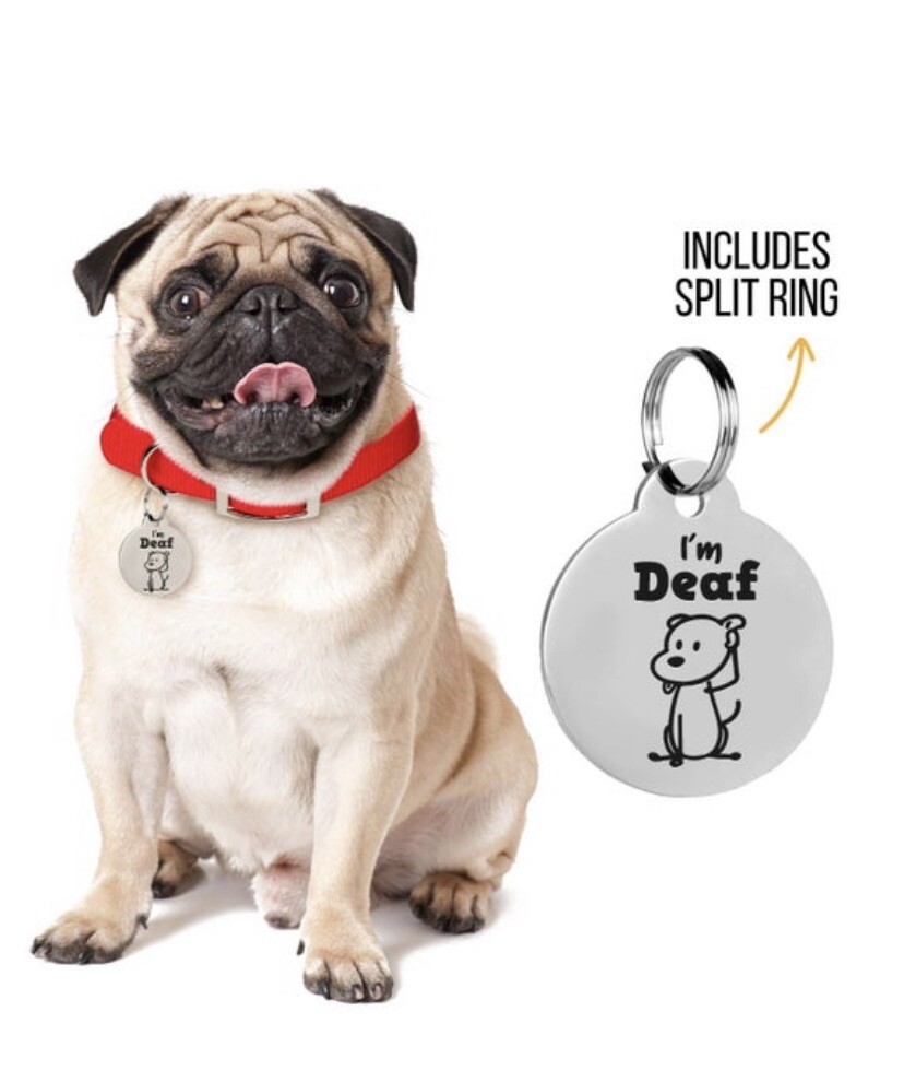 Custom Engraved Dog Tags Funny Pet ID Tag Double Sided Cat Tag Silent Tags