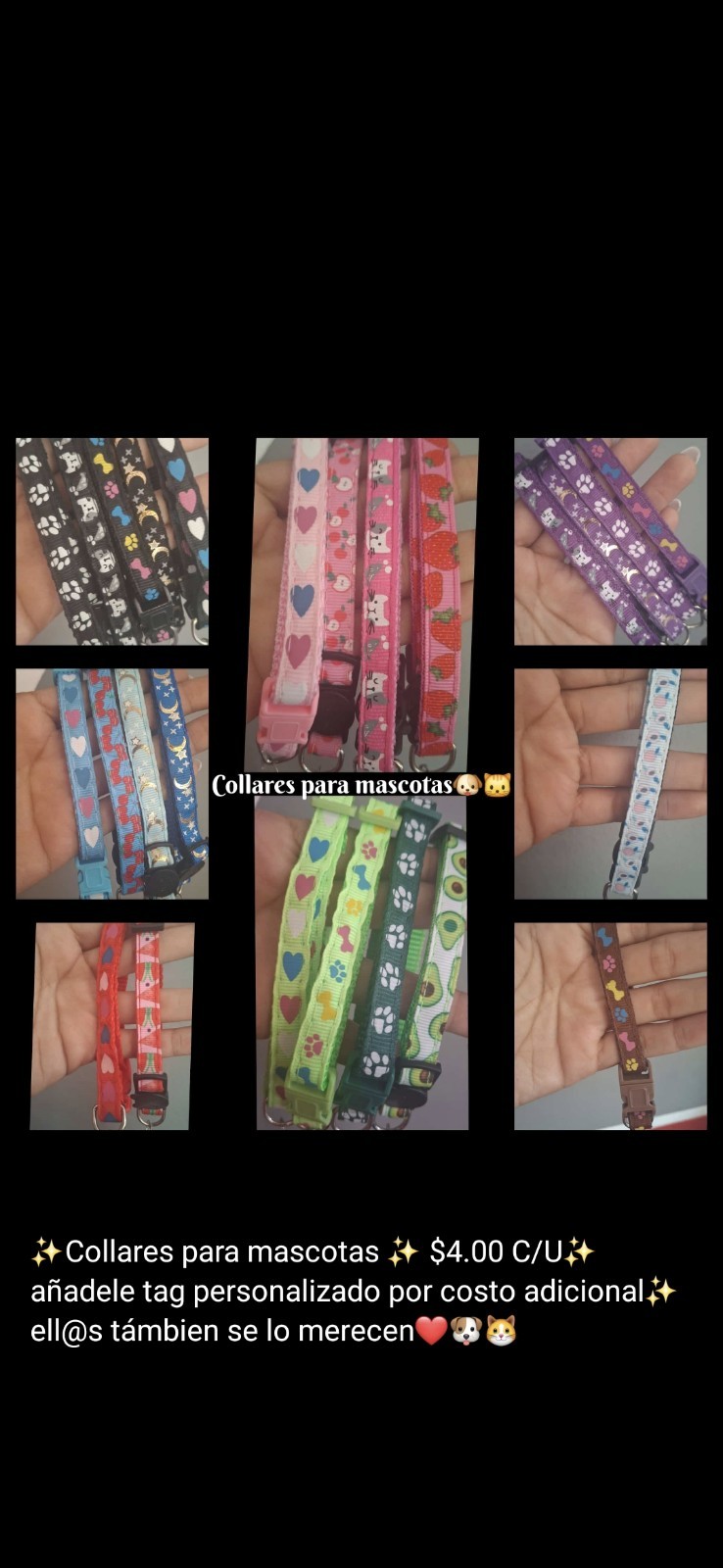Resin Tag Dog Minnie and Micky Mouse