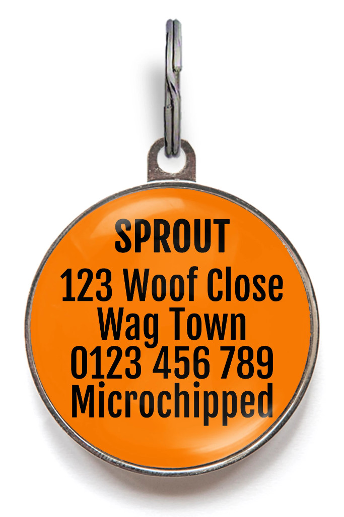 Funny Dog Tag – Premium Custom Pet ID – Won’t Chip Or Fade – 36 Colors Available