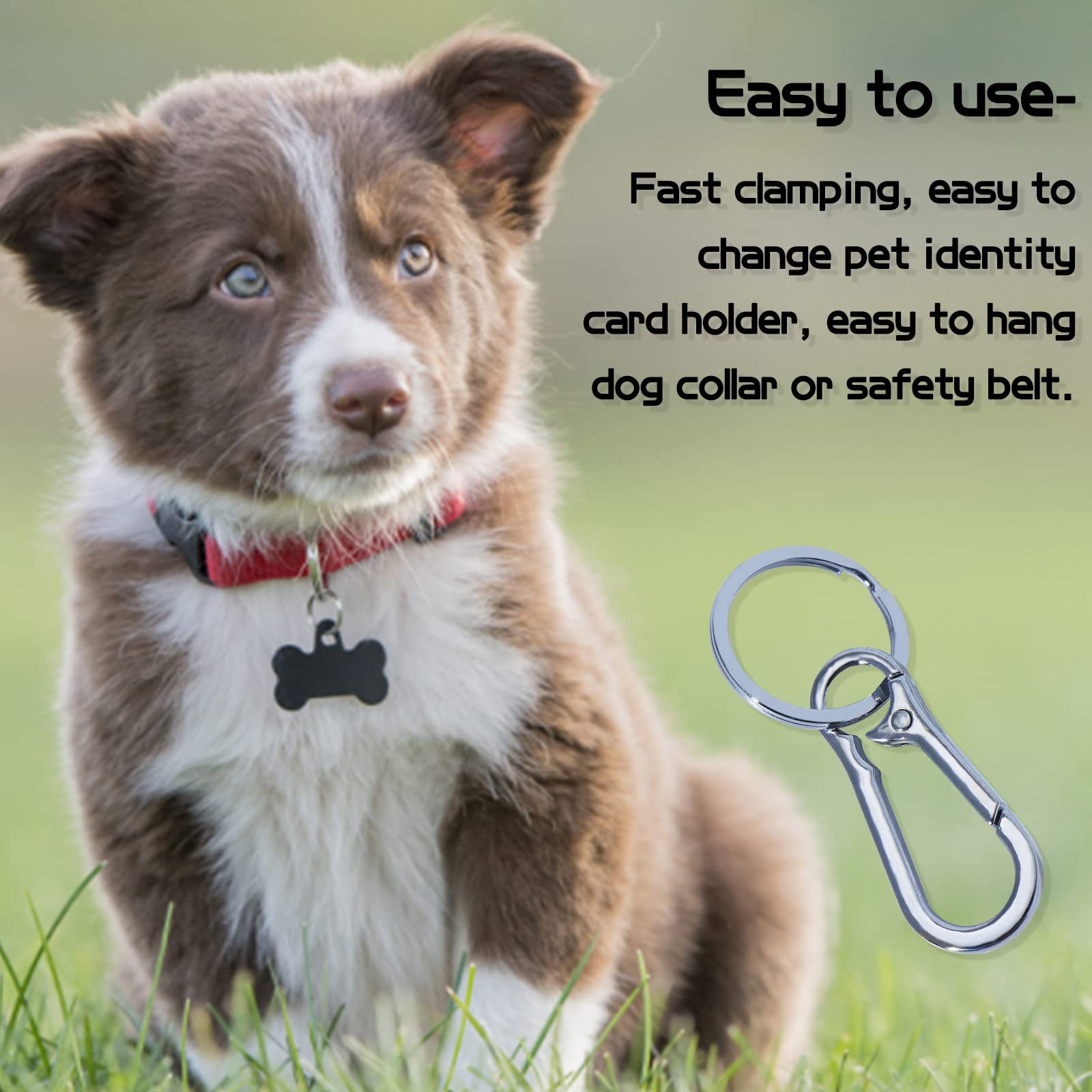 2 Pack Stainless Steel Dog Tag Quick Clips For Cat Dog Collar and Harness