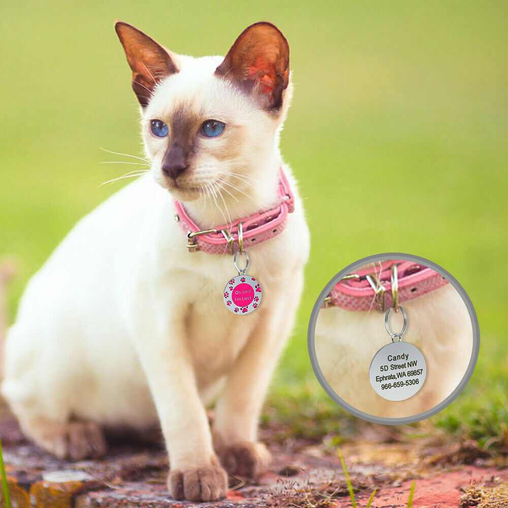 Oh Sh*t I’m Lost Custom Pet Tag ID Name Dog Collar Engraved Funny Tag Split Ring