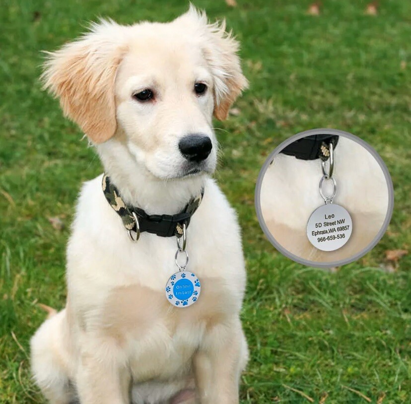 Sh*t I’m Lost Custom Funny Dog Cat Tag Engraved Pet Collar Personalized ID Tags