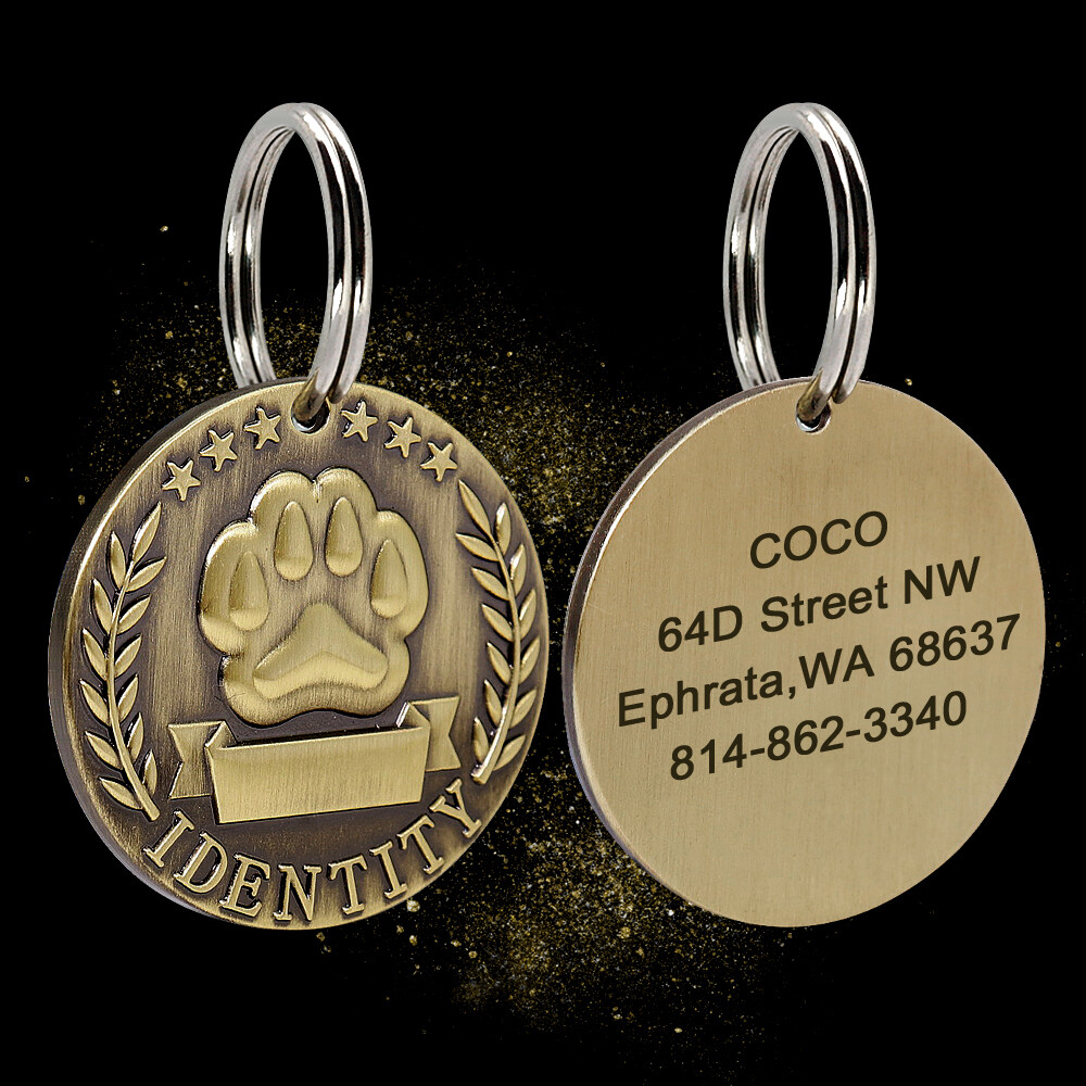 BRASS DOG TAGS MILITARY PERSONALIZED CUSTOM PET NAME ID ENGRAVED FOR COLLAR