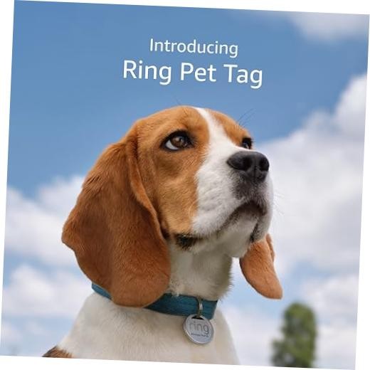 Pet Tag – Easy-to-Use QR Code – Real-Time Scanning Alerts – 1 Pet Tag