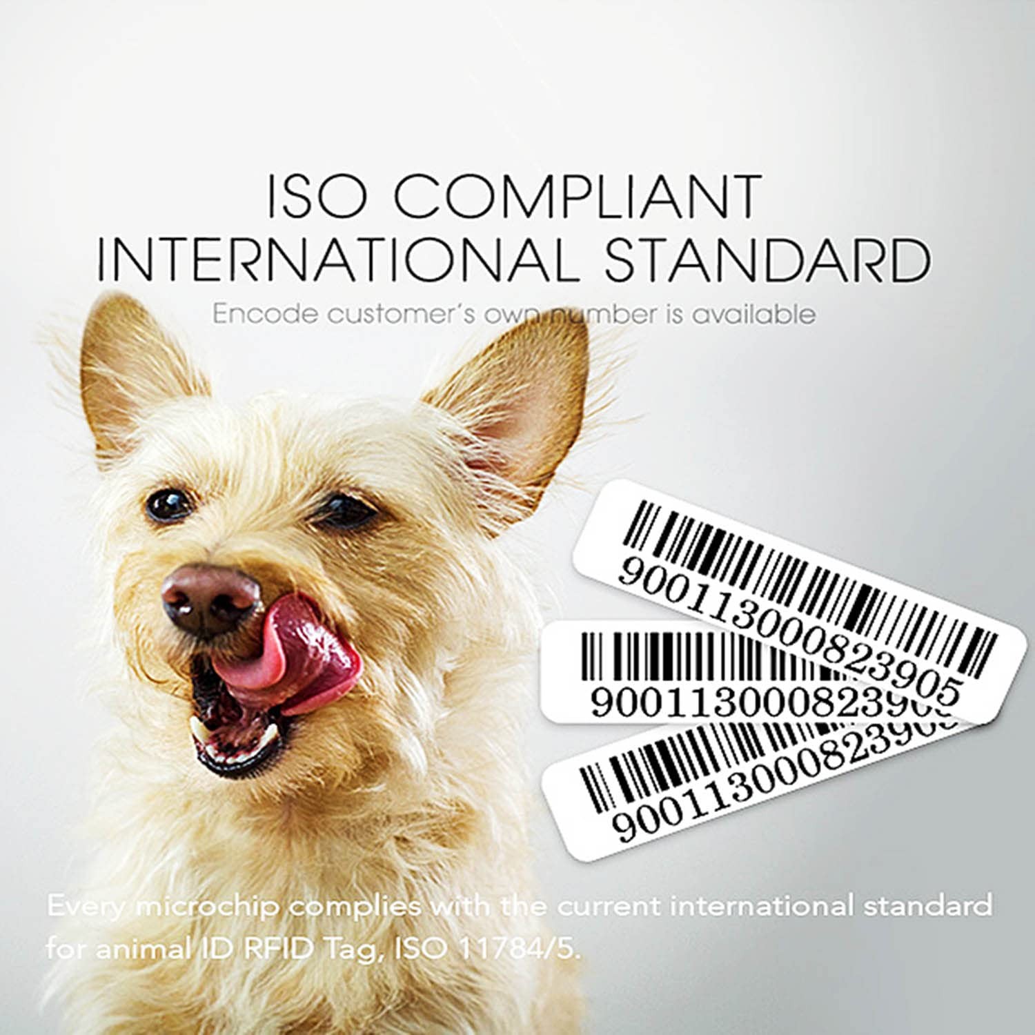 20 PCS Universal Pet Microchip 134.2kHz FDXB ID Tags RFID 2.1x12mm Kit