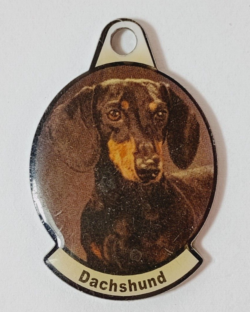 Metal Dog Breed Photo Tag. “Dachshund” For Dog Collar or Key Chain.