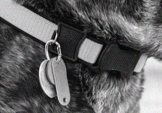 Easy Change ID Tag Holder Clip for Dog Cat Pet Collars