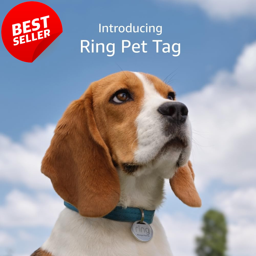 Pet Tag with QR Code Easy ID Real-Time Scan Alerts No Subscription Needed – US