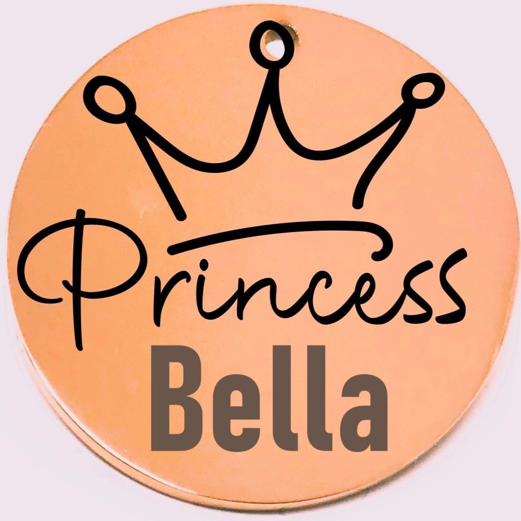 Princess Laser Engraved Pet Name Tags Personalized on Both Sides for Pet Collar