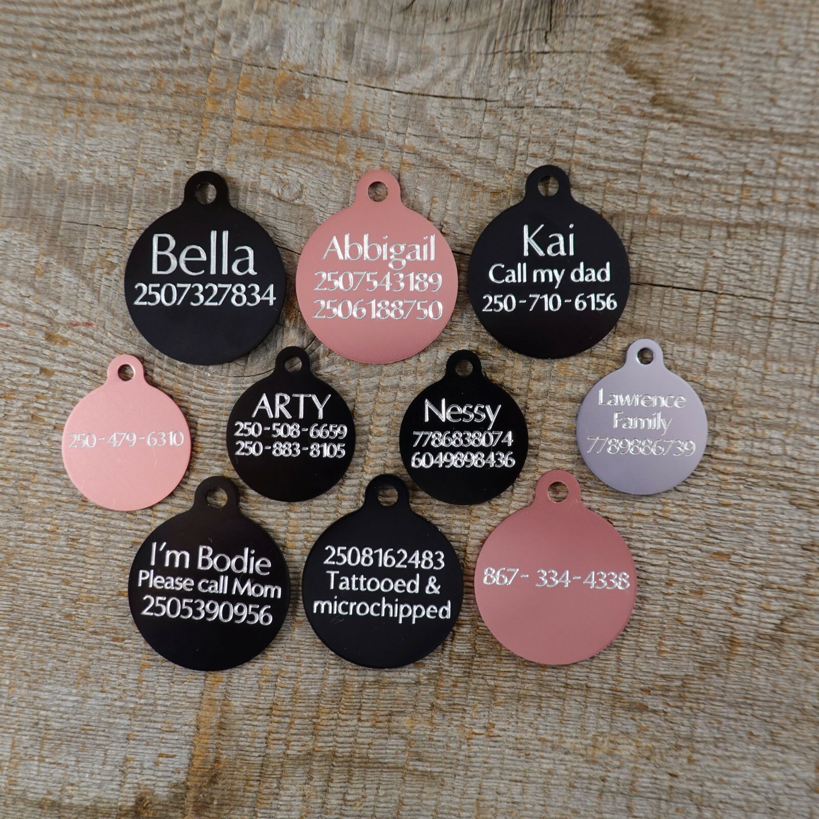 PET TAG DOG CIRCLE CUSTOM DIAMOND ENGRAVED SKULL DETAILS BACK 2 SIZES W/ RING