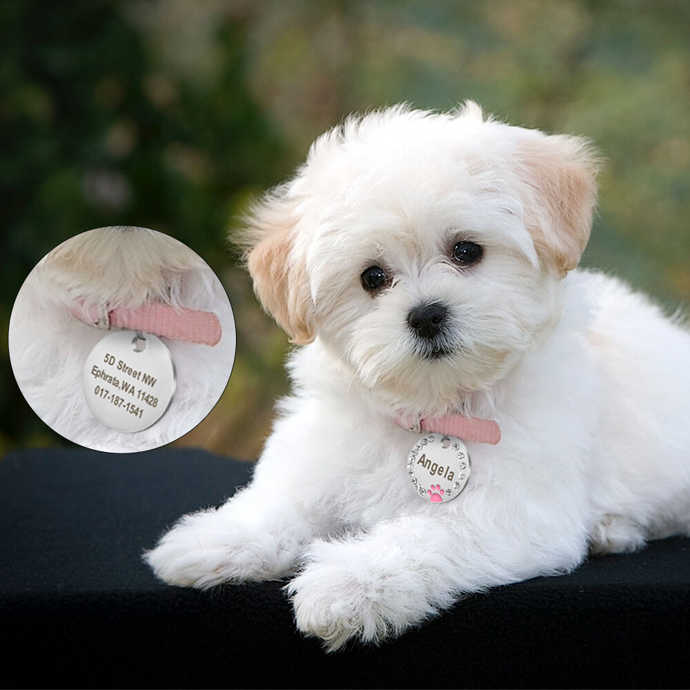 Bling Glitter Paw Round Personalized Dog ID Tags Disc Engraved Puppy Pet Dog Tag