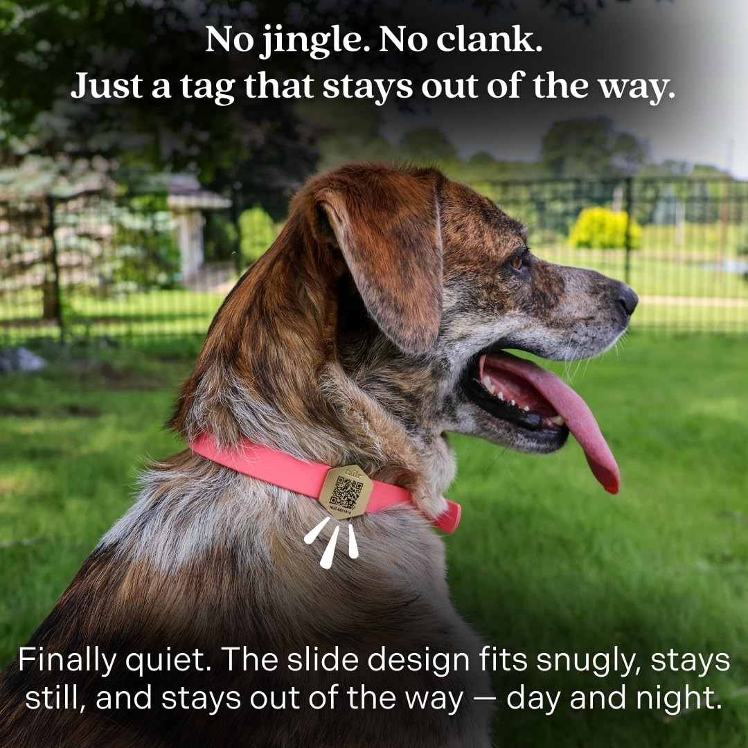 Gold-Plated Pet ID QR Tag, Military-Grade Steel, Free Digital Profile & Health R