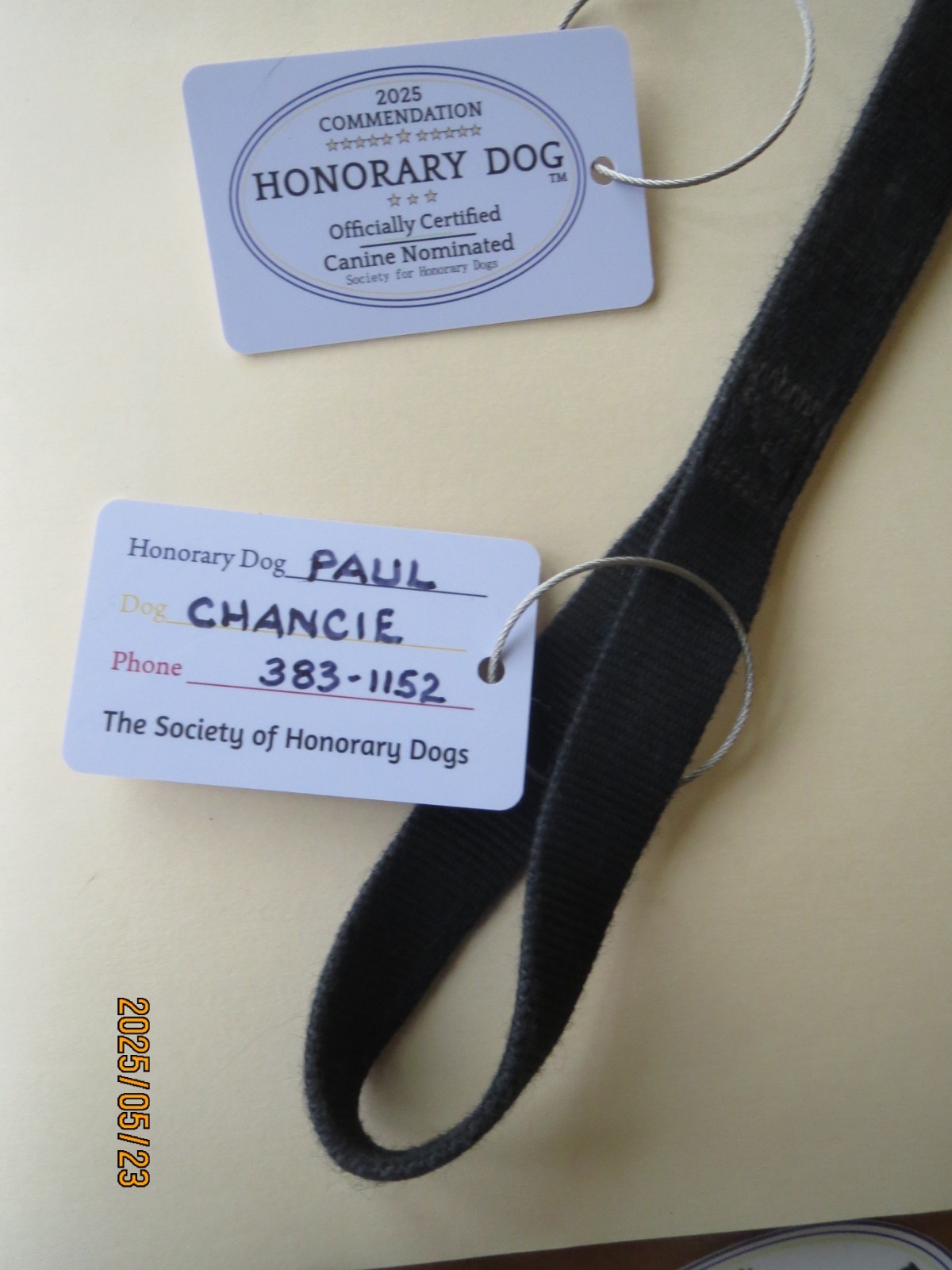 LOVE DOGS MORE THAN PEOPLE? Be an Honorary Dog. DOG-LOVER PIN w/ 6 FREE GIFTS