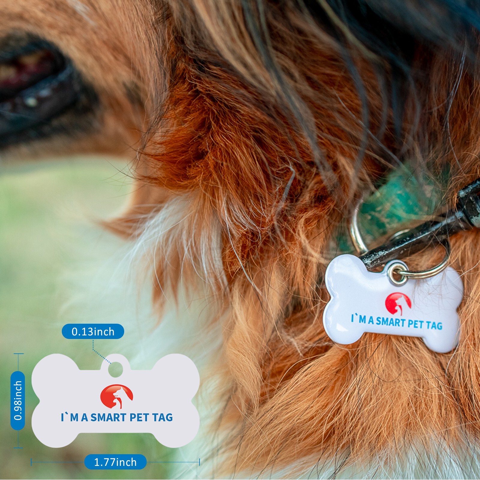 RexID Bone Dog Tag QR Code Pet ID Tags Smart Permanent ID Tag
