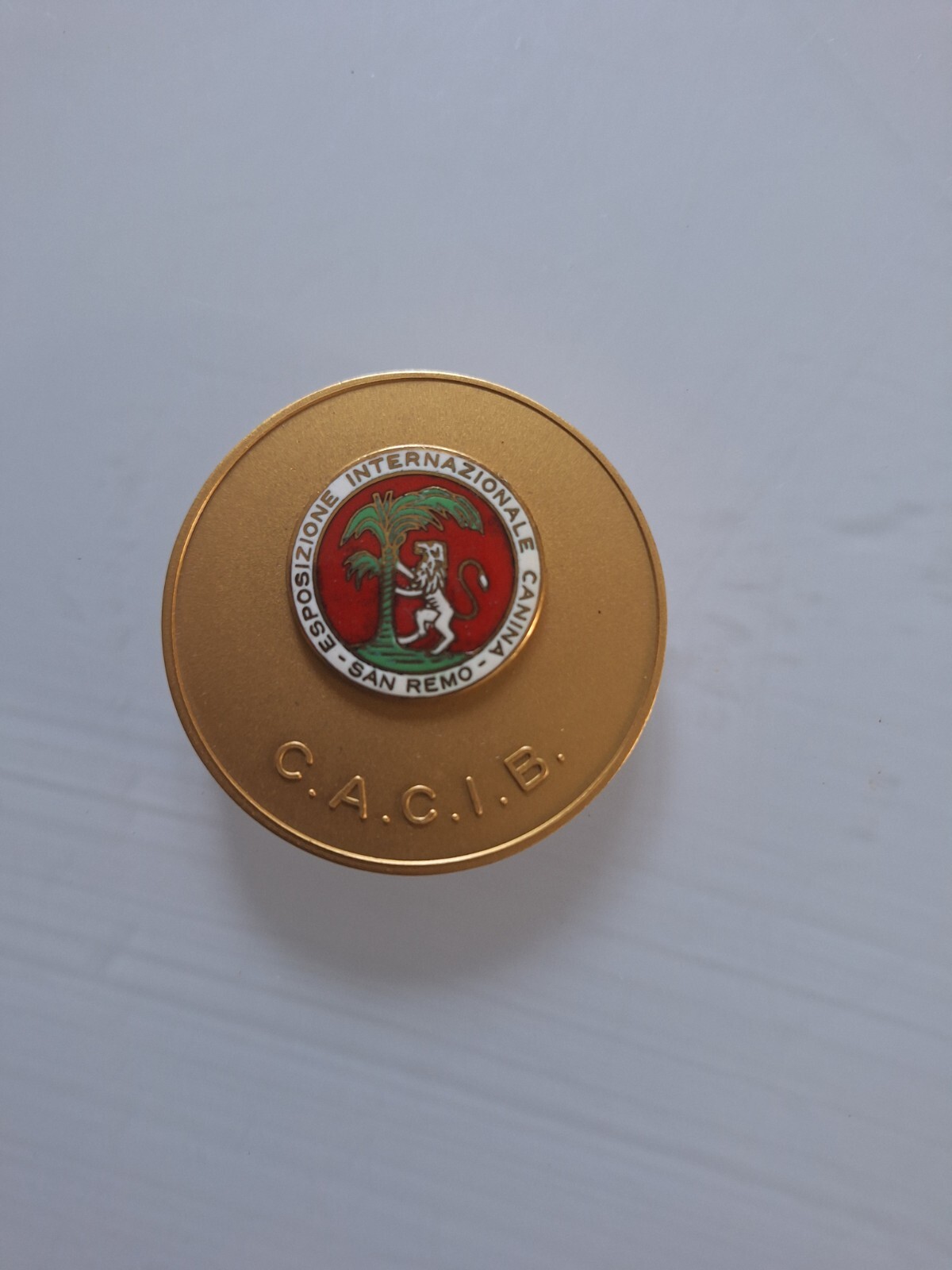 Animal Collection Gold Medal International Canine Exhibition San Remo CACIB