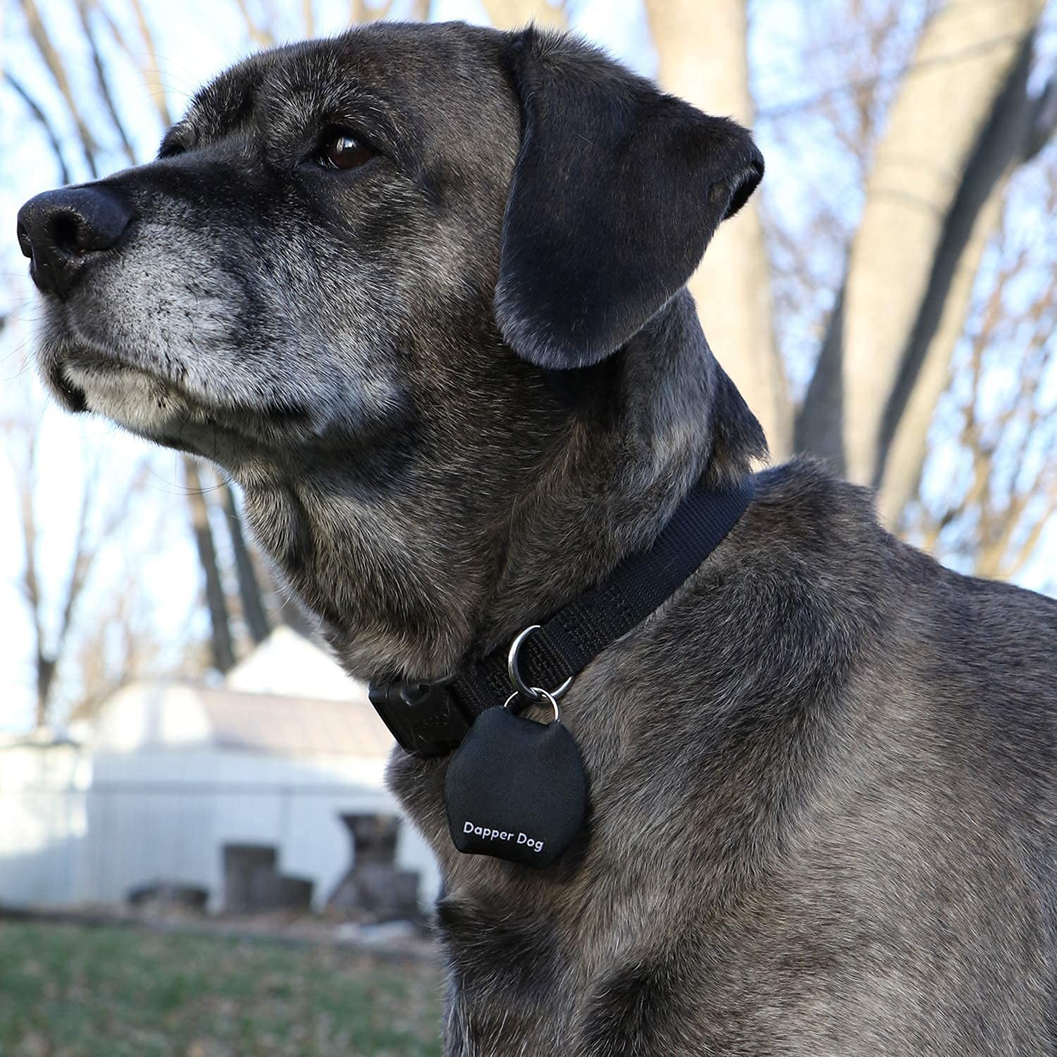 Dapper Dog – Dog Tag Silencer with Tag Ring (Black)