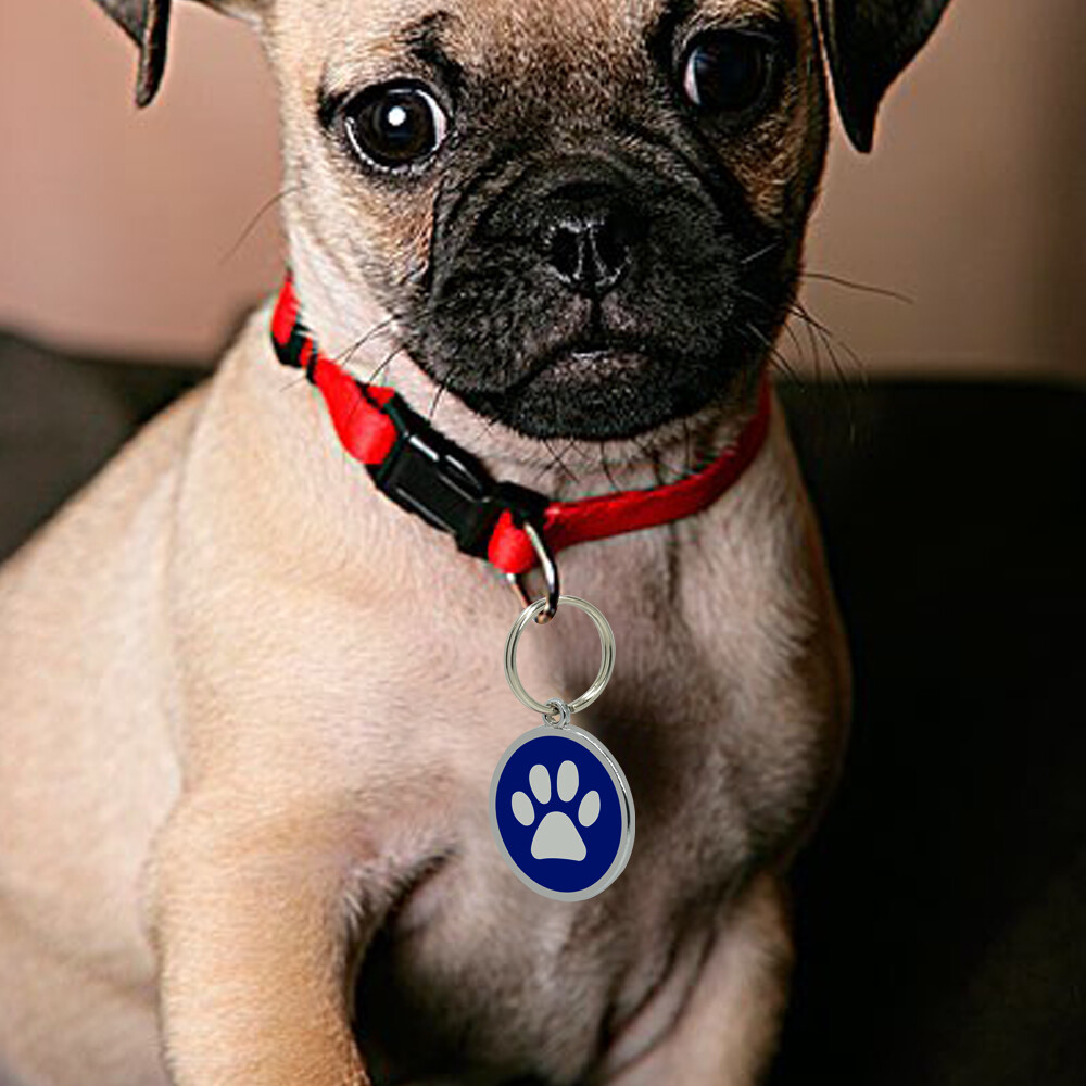 Paw Print Dog Tags Custom Pet Puppy Cat Name ID Collar Tag Engraved Free Whistle