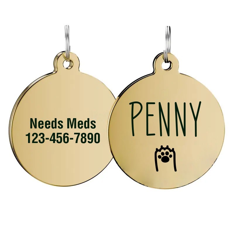 Personalized Stainless Steel Dog Tag Pet Tag Placa ID Identificacion Perro
