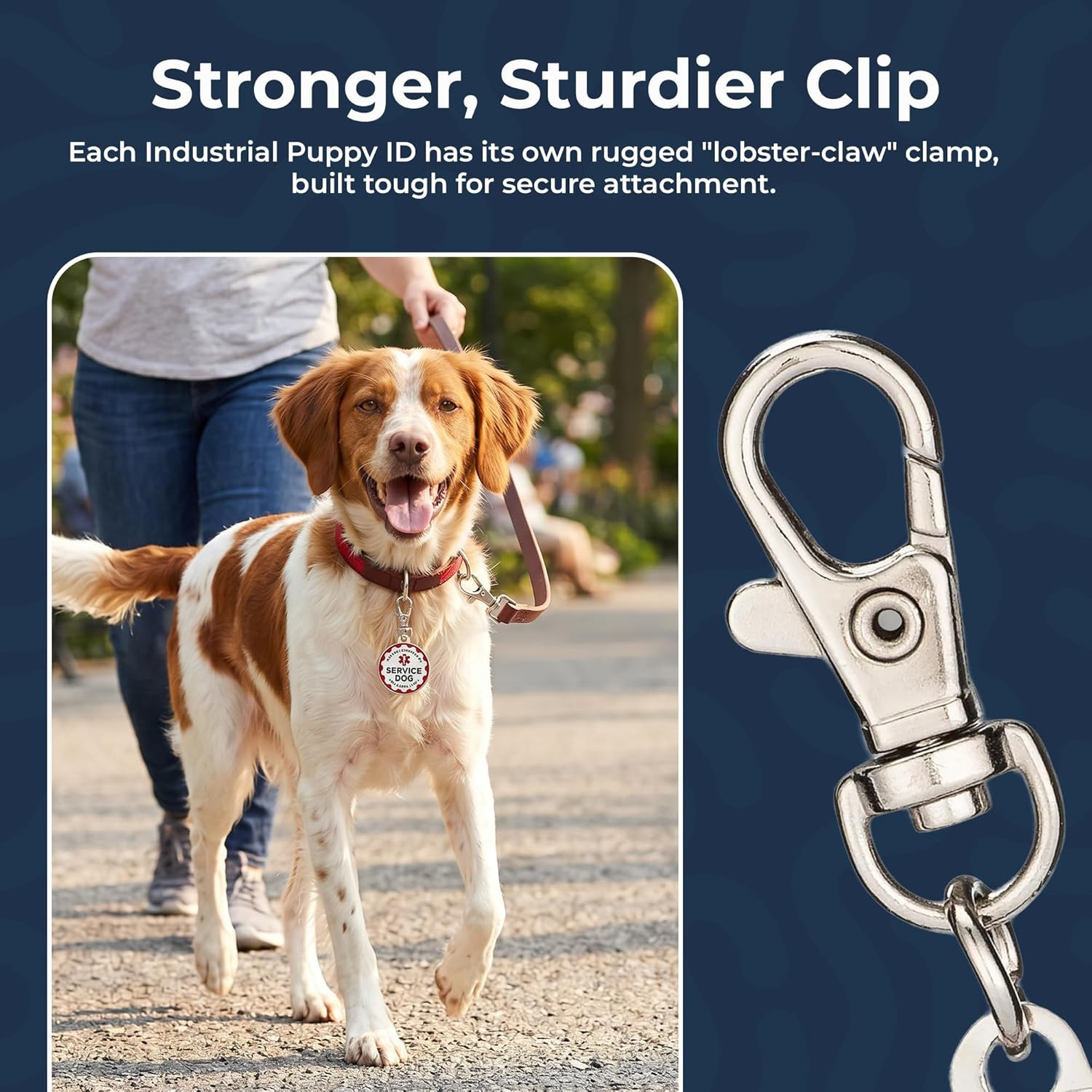 Service Dog Tag, 2 Pack: Metal Pet ID Tags for Service Animals, Emotional Suppor