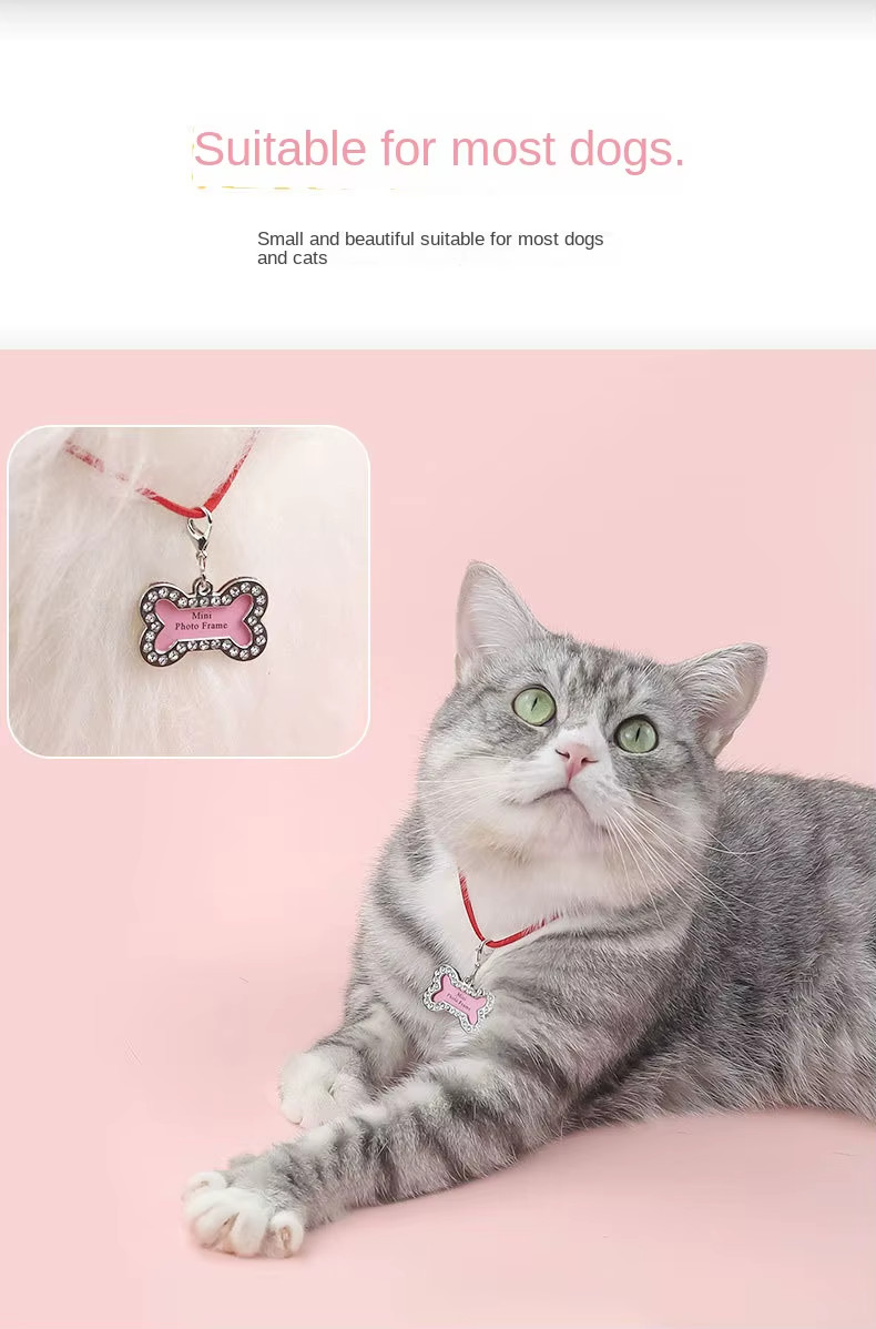 Mini Photo Frame Pet Tag – Writable ID , Keychain, Holiday Gift for Pet Lovers