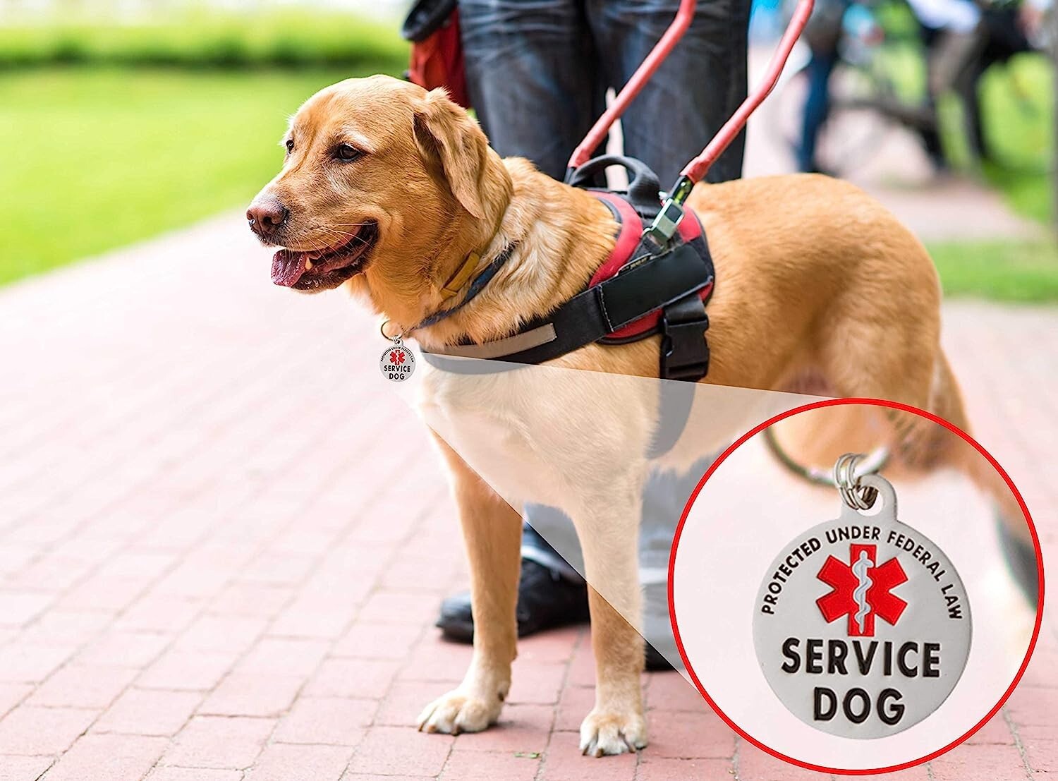 LRG Service Dog Tag Double Sided Federal Protection w/ Red Medical Alert Symbol