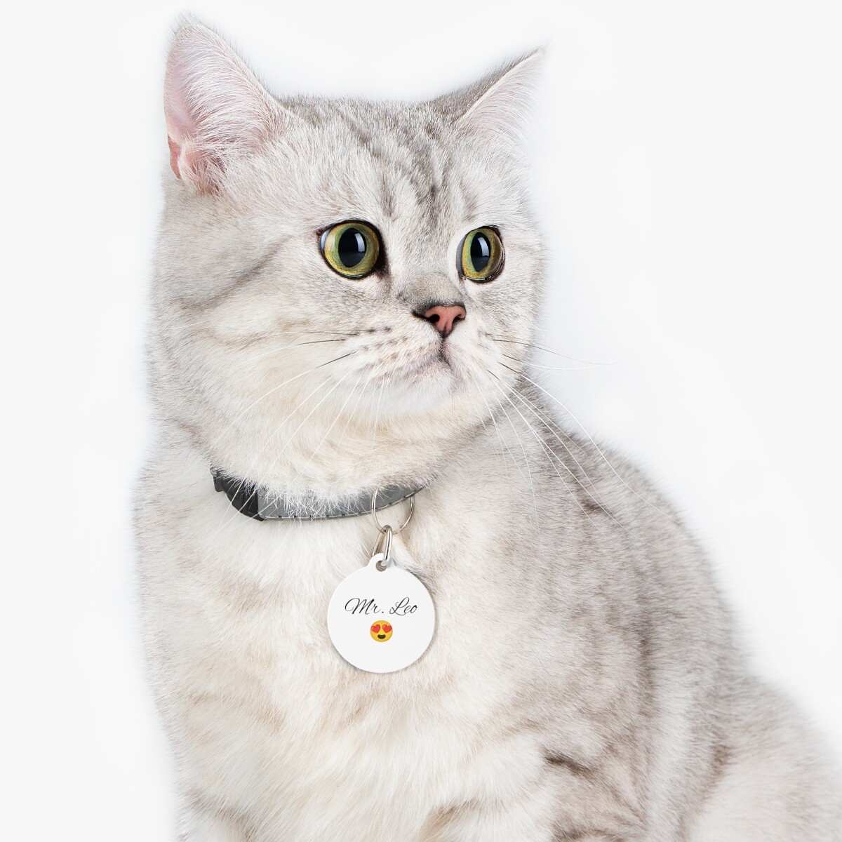 Customized Pet Tag