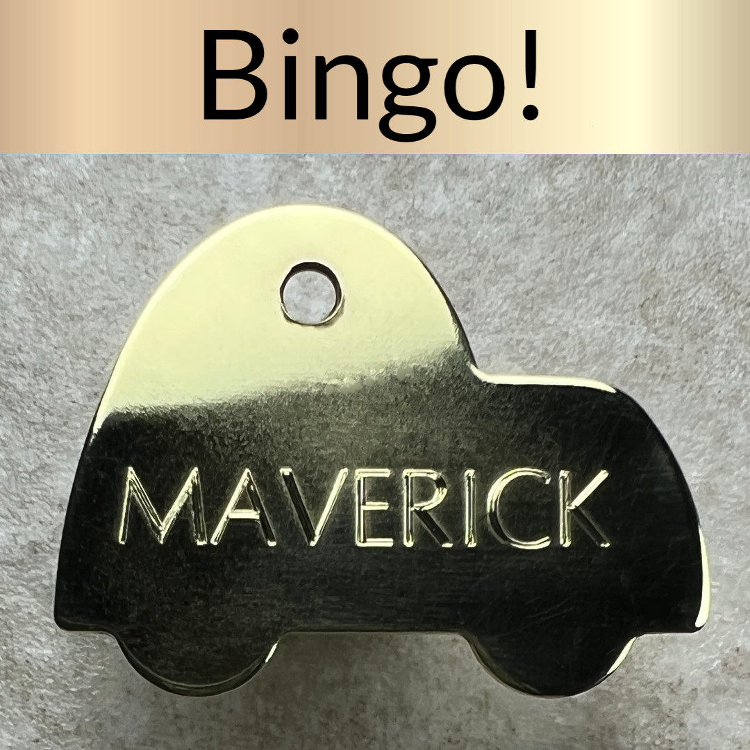 Custom Engraved Dog Tags Personalized Dog Collar Pet Tags Pet SPEED RACER BRASS