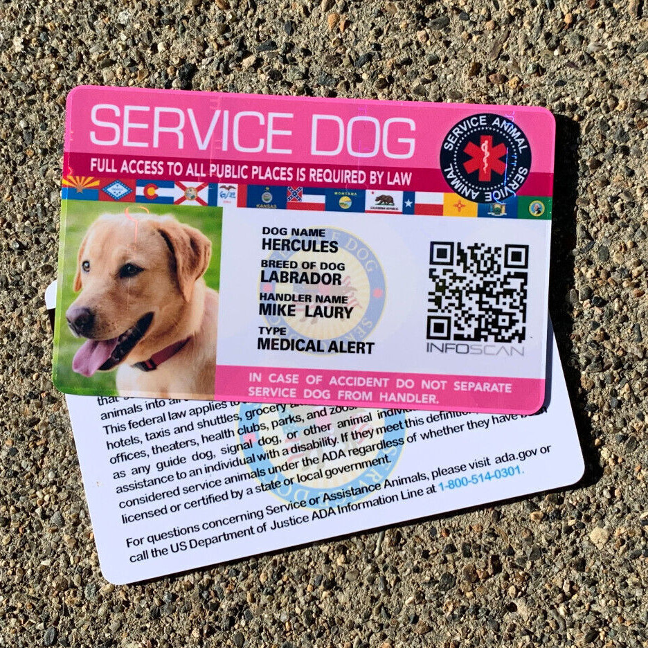 ADA Service Dog Card ID Badge Assistance Animal Badge ESA Holographic – PINK