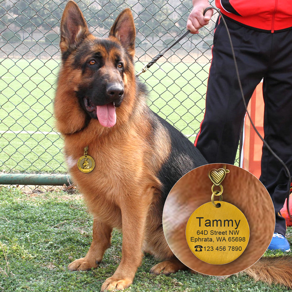 3D Gold Personalized Dog Tags with Breeds Pet Name ID Collar Tag Engraved Free