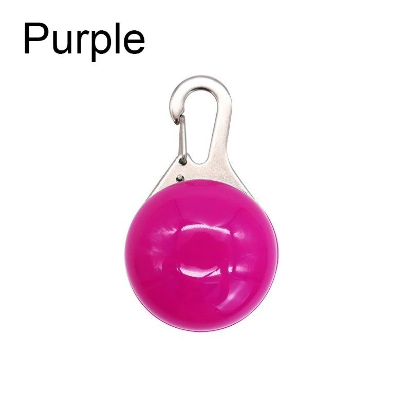 LED Flashing Clip On Pedant Night Light Pet Safety Dog Cat Collar Choose