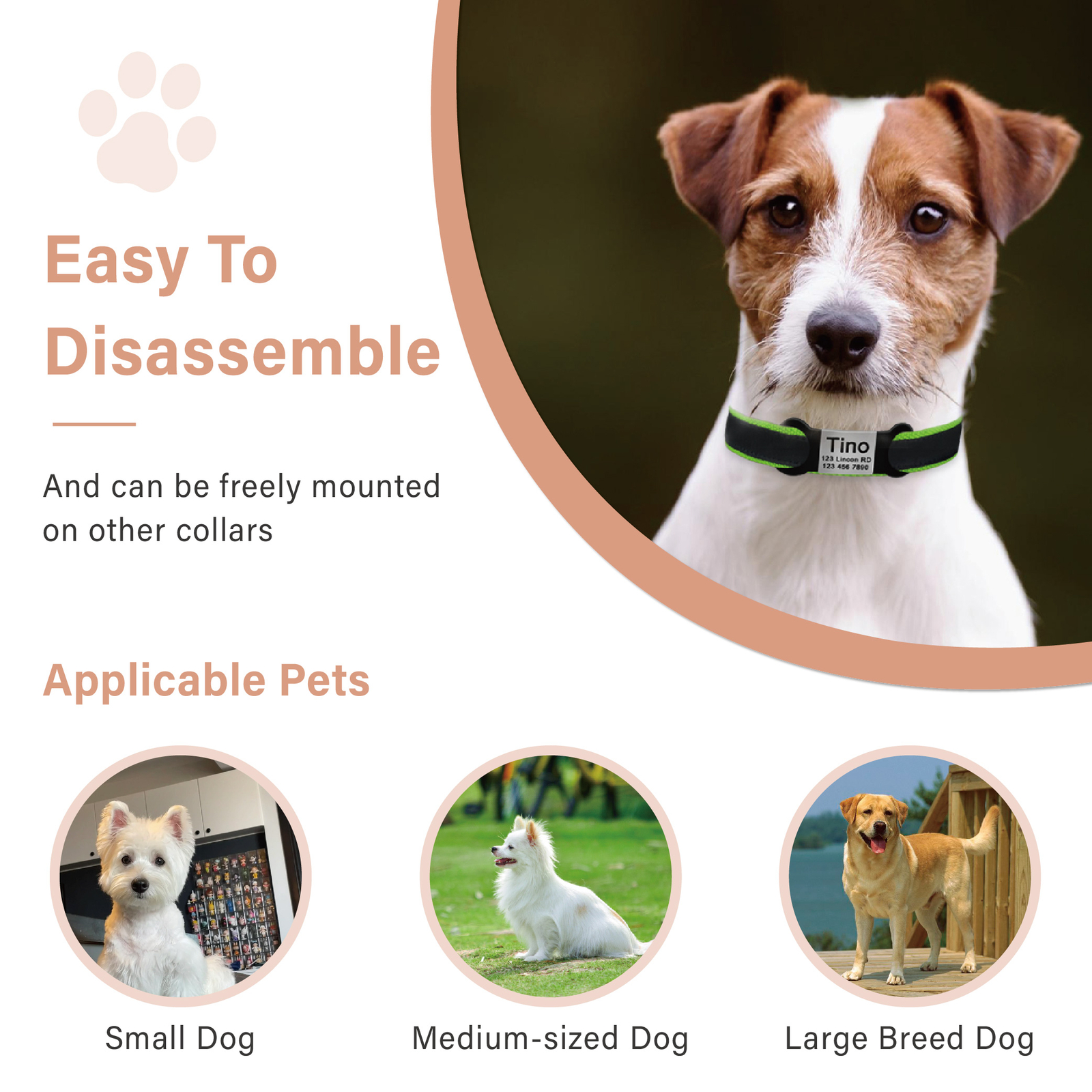 Custom Engraved Stainless Steel Pet Tag ID Elastic Silicone Band Fits Collars