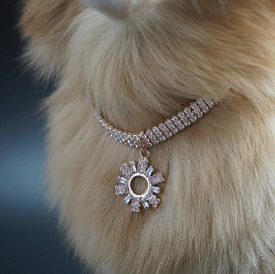 Necklace for dogs | Dog Rhinestone Rose Gold Tone Charm Necklace | Dog jewelry