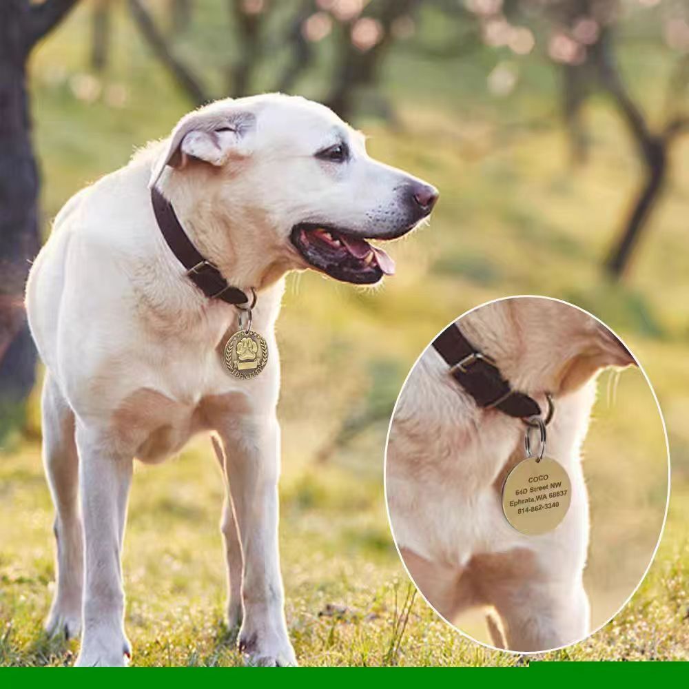 Brass Personalized Dog Tags Military Custom Engraved Pet Name ID Tag For Collar