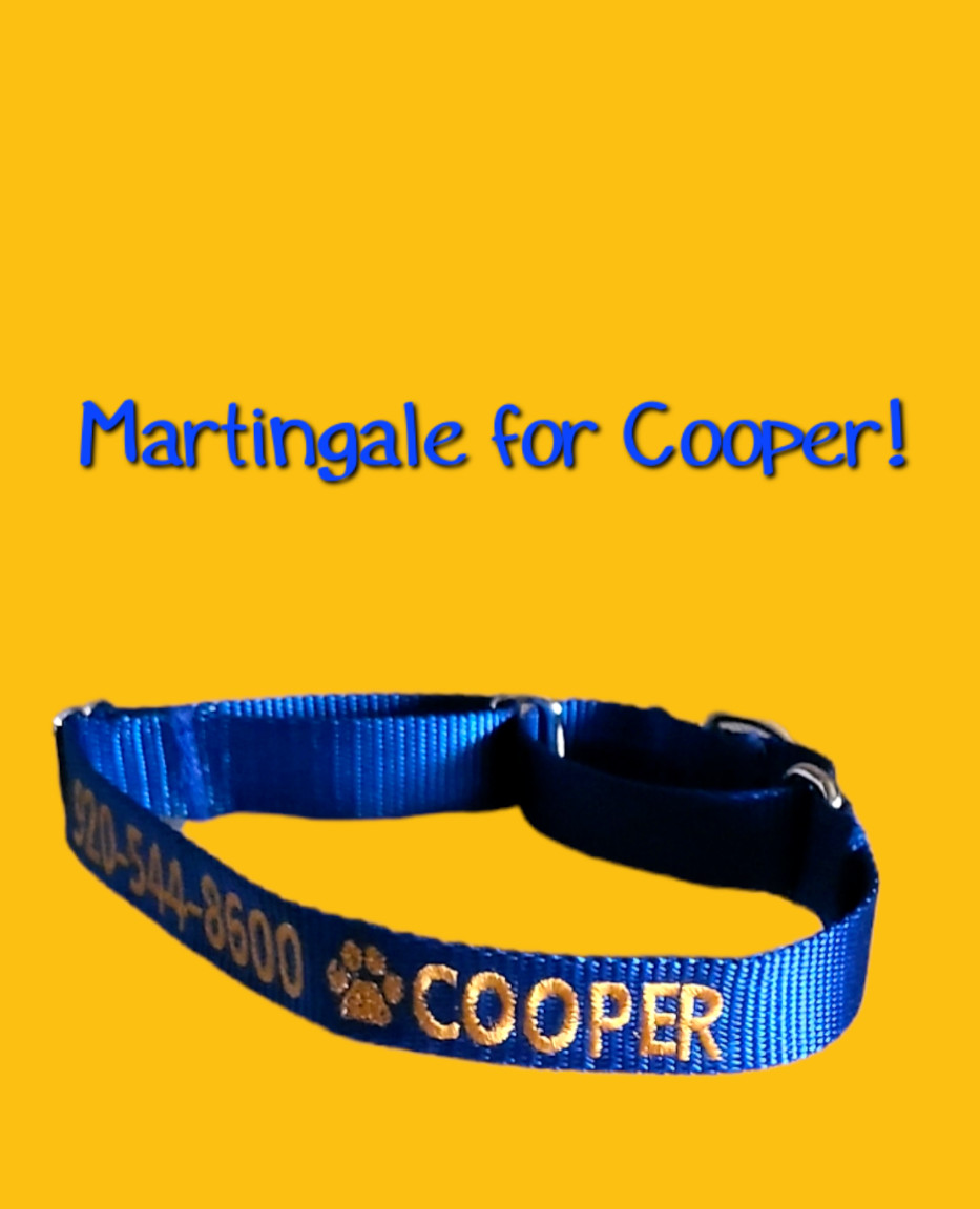PERSONALIZED Embroidered Martingale Dog Collar Pet ID Tag – Name and Phone!
