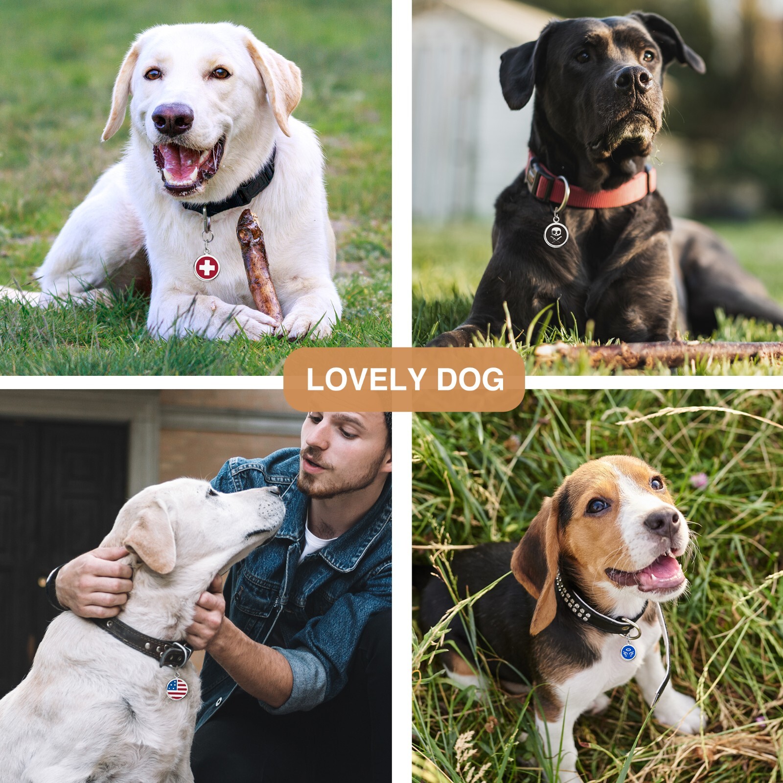 LEASH KING Cute Pet ID Tags with Split Ring