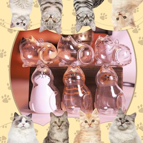 6PCS Cat Fur Keepsake Storage Bottle Pet Memorial Keychain