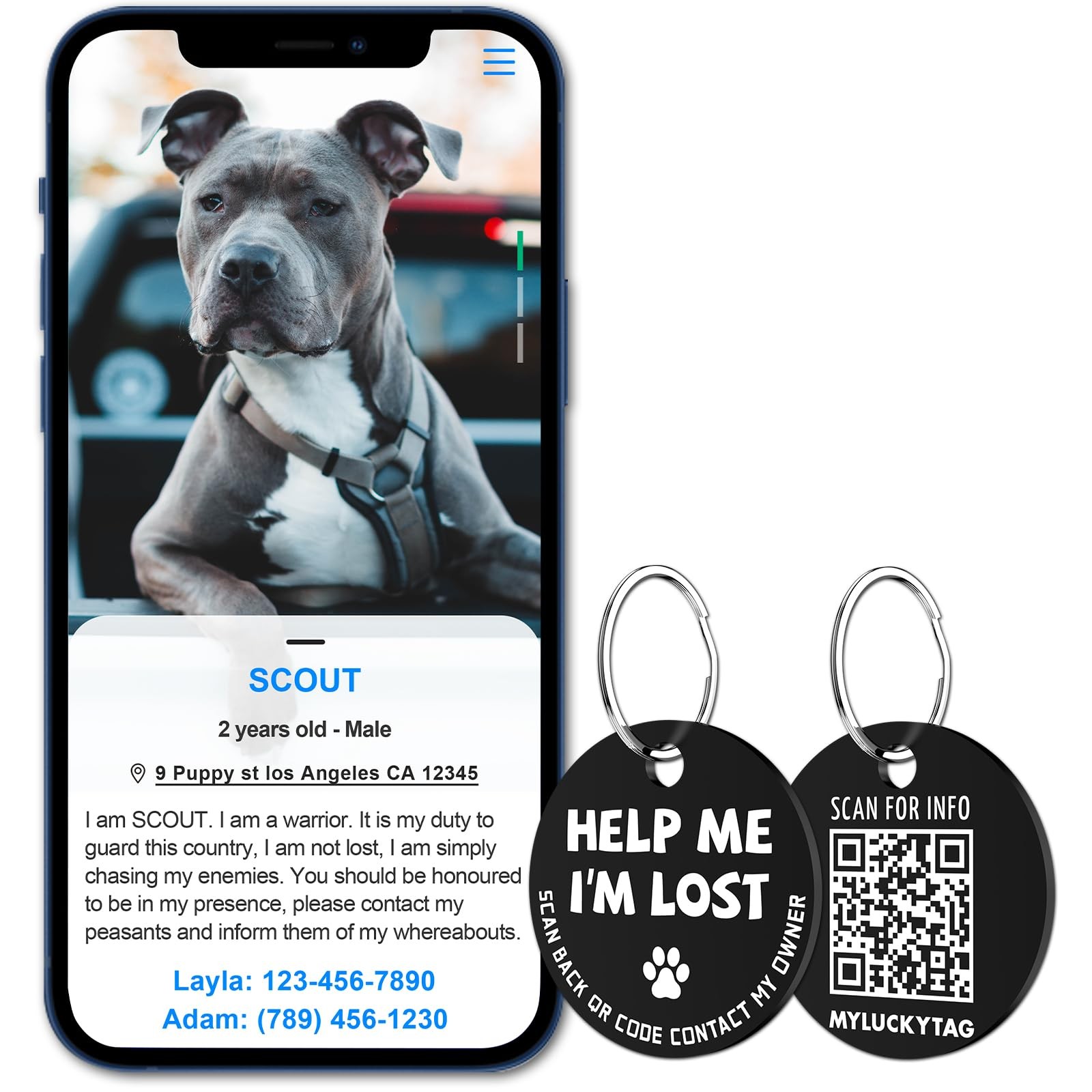 Stainless Steel QR Code Dog Tags – Scan QR for Instant Pet Location Alerts